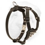Leather Shar-Pei Harness for Active Puppies with D-ring and Quick Release Buckle