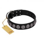 "Black Raven" Handmade FDT Artisan Black Leather Sharpei Collar with Silver-Like Adornments