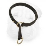 Exquisitely Decorated with Braids 2 Ply Leather Choke Collar for Your Shar Pei