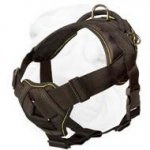 Durable Nylon Harness with Chest Plate for Multipurpose Use