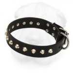 Leather Shar-Pei Collar with Nickel Plated Pyramids