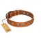 "Precious Relic" FDT Artisan Tan Leather Sharpei Collar Adorned with Old Bronze Look Studs