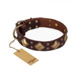 "Golden Square" FDT Artisan Brown Leather Sharpei Collar with Large Squares