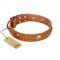 "Visual Magic" FDT Artisan Tan Leather Sharpei Collar for Daily Activities