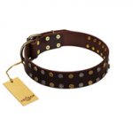 "To the Moon and Back" FDT Artisan Brown Leather Sharpei Collar with Bronze-like Star Studs