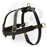 Light Weight Leather Harness Great for Pulling/Tracking/Walking