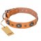 "Twinkle Twinkle" FDT Artisan Incredible Studded Tan Leather Sharpei Collar