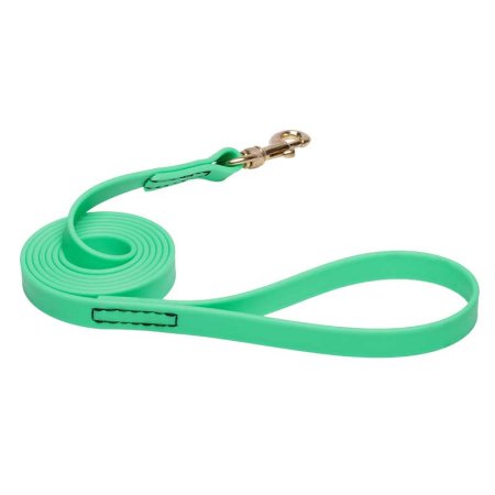 Green Waterproof Sharpei Leash Made of Biothane