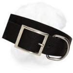2 Ply Nylon Extra Wide Shar Pei Collar for All-Weather Use