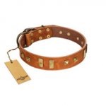 "Sand of Time" FDT Artisan Tan Leather Sharpei Collar with Old Bronze-like Studs and Plates