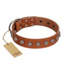 "Heroic Deeds" Designer Handmade FDT Artisan Tan Leather Sharpei Collar