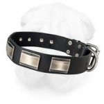 Leather Dog Collar with Original Silver Shining Plates for Shar Pei