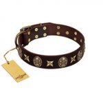 "Captain Hook" FDT Artisan Brown Leather Sharpei Collar with Stars and Skulls