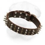 Extra Wide Leather Buckle Collar with Spikes and Studs Arranged into Interchanging Columns