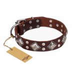 "King of Grace" FDT Artisan Stylish Leather Sharpei Collar with Old Silver-Like Plated Decorations