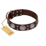 "Imperial Legate" FDT Artisan Brown Leather Sharpei Collar with Big Round Plates