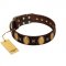 "Crystal Mirror" FDT Artisan Handmade Brown Leather Sharpei Collar - 1 1/2 inch (40 mm) Wide