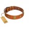 "Space Warrior" FDT Artisan Tan Leather Sharpei Collar with Ovals and Stars