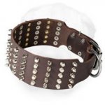 Wide Shar-Pei Collar Decorated with Spikes and Studs