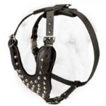 Studded Leather Dog Harness with Y-shaped Chest Plate for Shar Pei