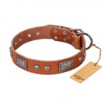 "Sparkling Skull" FDT Artisan Tan Leather Sharpei Collar with Old Silver Look Plates and Skulls