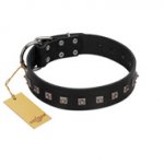 "Natural Beauty" Premium Quality FDT Artisan Black Designer Sharpei Collar with Dotted Studs