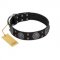 "Boundless Blue" FDT Artisan Black Leather Sharpei Collar with Chrome Plated Brooches and Square Studs