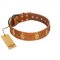 "Glossy Autumn" Designer Handmade FDT Artisan Tan Leather Sharpei Collar with Ovals and Studs