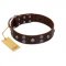 "Skull Valley" Handcrafted FDT Artisan Brown Leather Sharpei Collar with Skulls