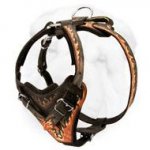 Heavy Duty Leather Harness for Shar Pei Red Flames Painted