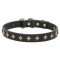 Trendy Leather Collar with Brass Stars