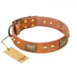 "Saucy Nature" FDT Artisan Tan Leather Sharpei Collar with Old Bronze Look Plates and Skulls