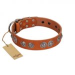 "Woofy Majesty" FDT Artisan Tan Leather Sharpei Collar with Round Silver-like Plates