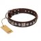 "Pierian spring" FDT Artisan Brown Leather Sharpei Collar with Silvery Decorations