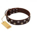 "Shadow Warrior" FDT Artisan Mystic Brown Leather Sharpei Collar with Runes