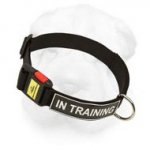 Multipurpose Shar Pei Nylon Collar with Quick Release Buckle and Identification Patches