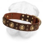 Leather Shar-Pei Collar with Brass Circles