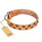 "Precious Sparkle" Handmade FDT Artisan Tan Leather Shar Pei Collar of Premium Quality