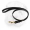 Braided Leather Leash for Shar Pei