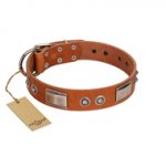 "Pawsy Glossy" FDT Artisan Exclusive Tan Leather Sharpei Collar 1 1/2 inch (40 mm) wide