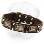 Shar-Pei Collar Decorated with Brass Plates and Nickel Pyramids