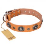 "Twinkle Twinkle" FDT Artisan Incredible Studded Tan Leather Sharpei Collar