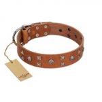 "Enchanted Skulls" FDT Artisan Tan Leather Sharpei Collar with Chrome Plated Skulls