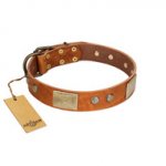 "Ancient Treasures" FDT Artisan Tan Leather Sharpei Collar with Antiqued Plates and Studs