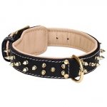 Spiked Shar-Pei Collar with Nappa Padding