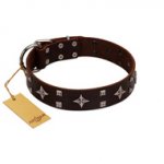 "Trendy Candy" FDT Artisan Brown Leather Sharpei Collar Adorned with Stars and Tiny Squares