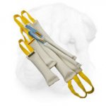 Fire Hose Bite Training Set for Shar Pei