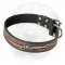 Painted Shar-Pei Collar "Barbed Wire"