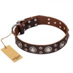 'Age of Beauty' FDT Artisan Incredible Studded Brown Leather Shar Pei Collar