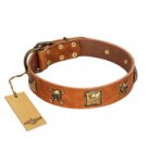 "Knights Templar" FDT Artisan Tan Leather Sharpei Collar with Skulls and Crossbones Combined with Squares